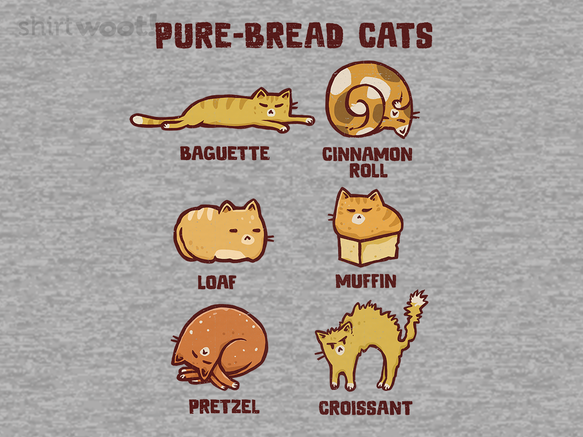 PureBread Cats - Gallery 4