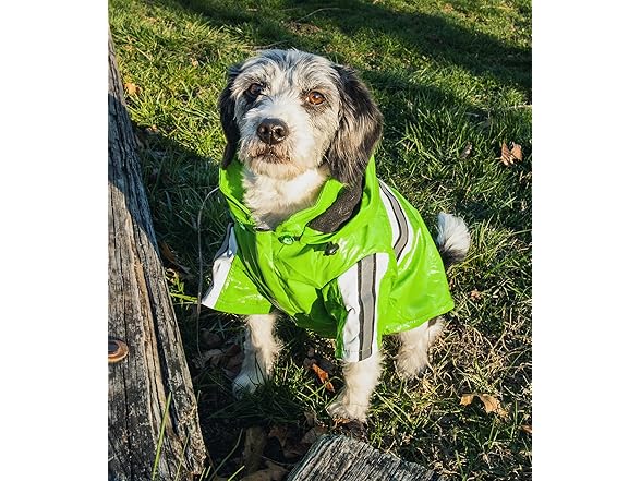 Pet Life ® 'Reflecta-Glow' Dog Raincoat