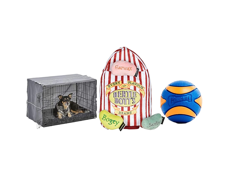 Pretty Popular Pet Products