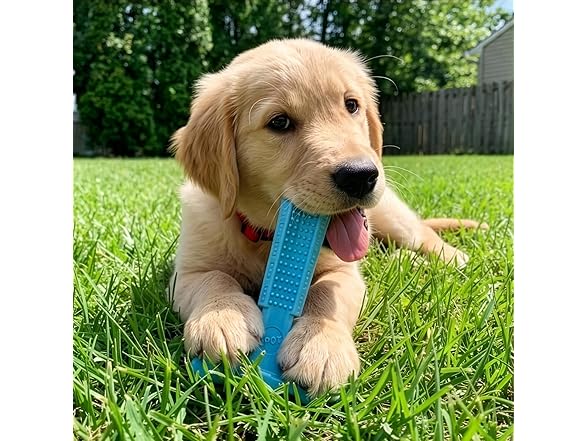 SPOT Bam-Bones Puppy T-Bone Dog Chew Toy- 6" Blue