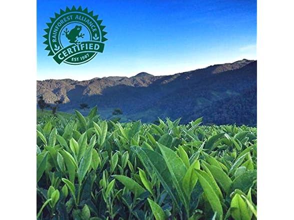 1CT Pure Leaf Iced Tea, Unsweetened Black Tea, 18.5 oz