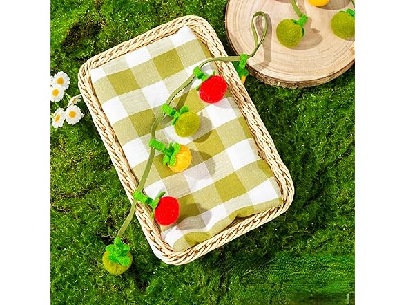 Layheld Cat Teaser Fruit-Shaped Squeaky String w Catnip