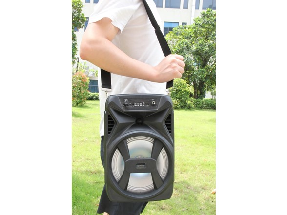 Technical Pro Portable TWS Stereo Speaker