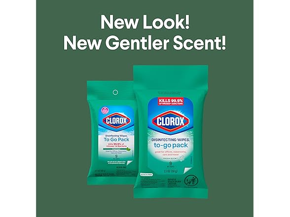 Clorox Travel Wipes 9ct