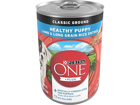 1CT ONE Lamb and Rice, 13 Oz