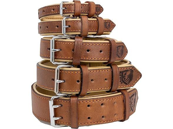 Riparo Adjustable Leather Dog Collar