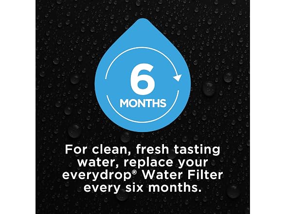 Whirlpool EVFILTERL7 2pk everydrop Value Water Filter