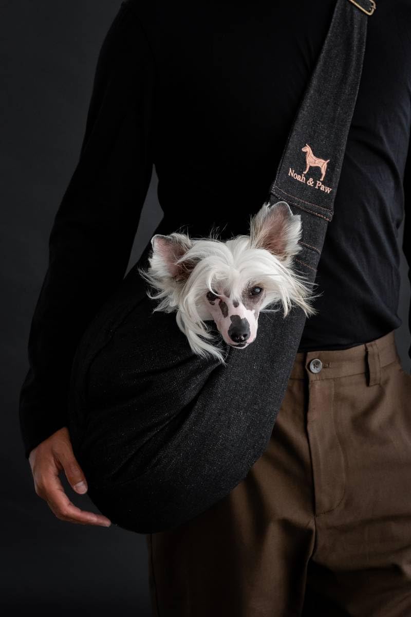Noah & Paw Snap Sling Dog Carrier - Gallery 21