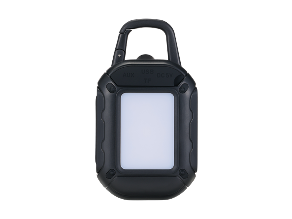 Solar Wireless Speaker with Compass