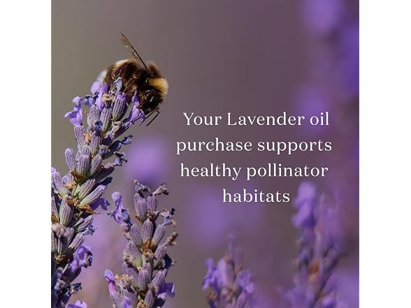 Young Living Lavender Essential Oil 15 ml