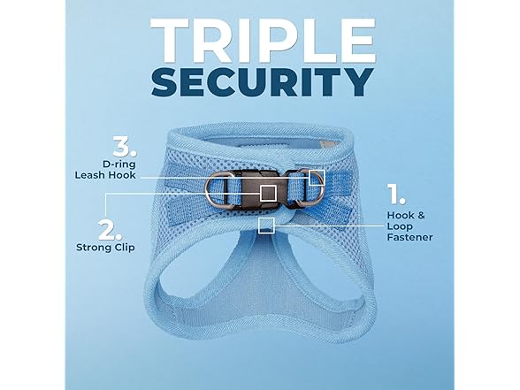Voyager Step-in Cat Leash Harness Set