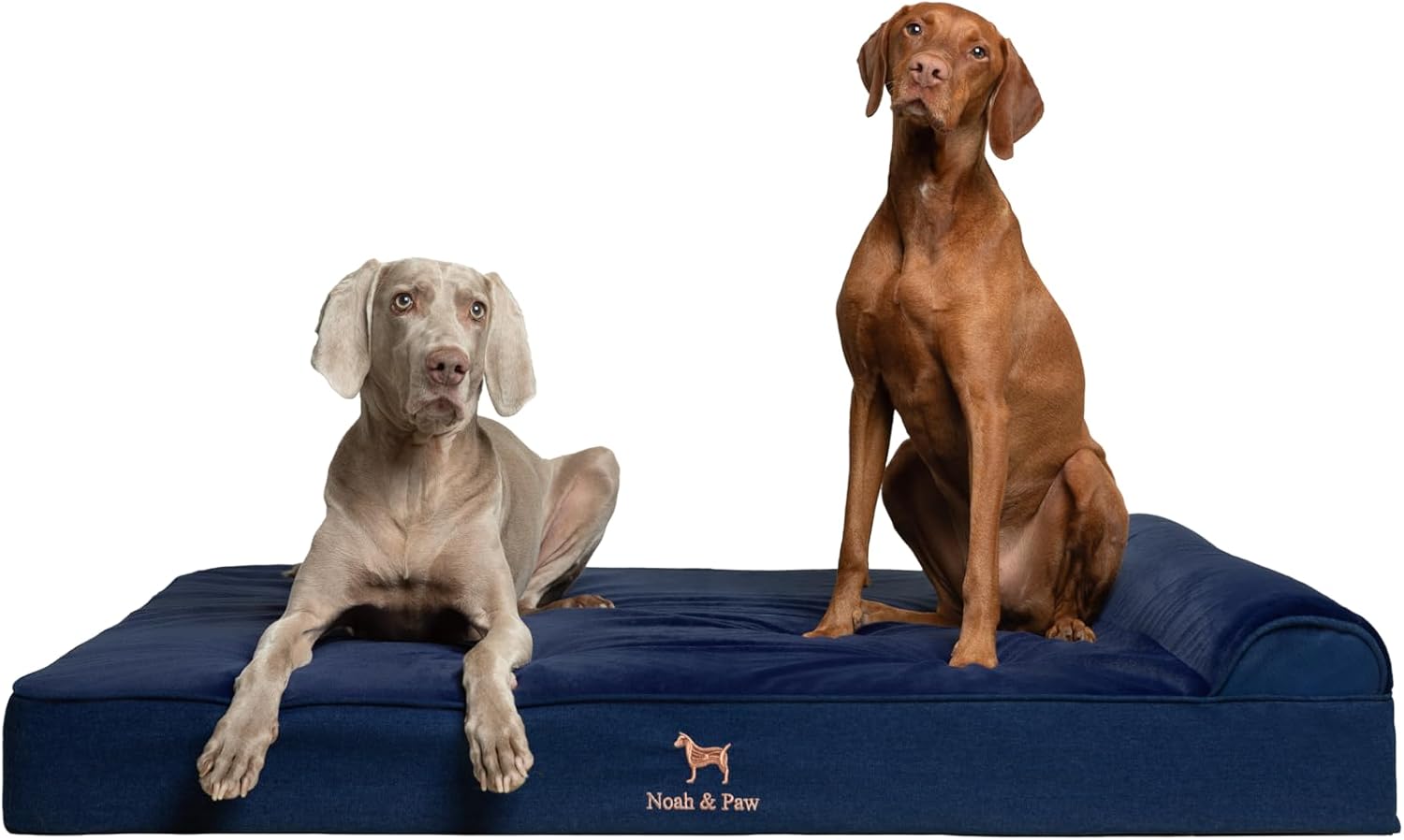 NOAH & PAW Orthopedic Dog Beds- XXLarge - Gallery 16