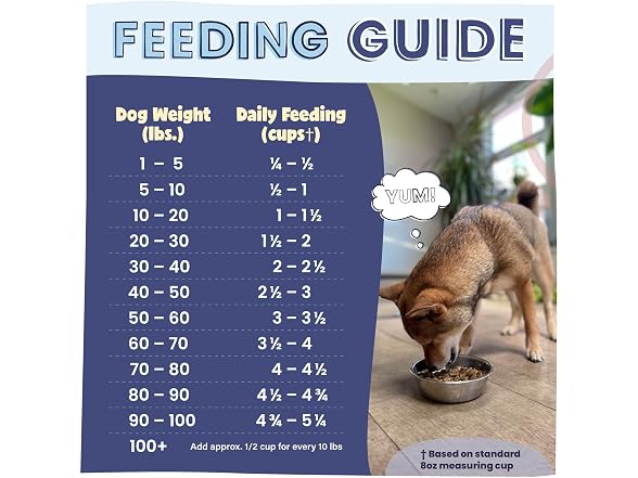 Pawstruck Air Dried Dog Food with Real Beef 2lb.