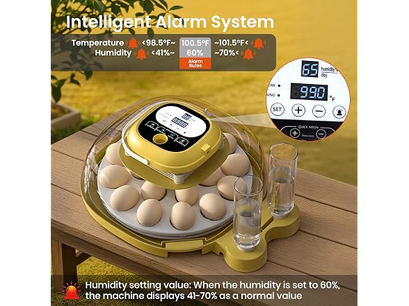 Egg Incubators For Hatching Eggs
