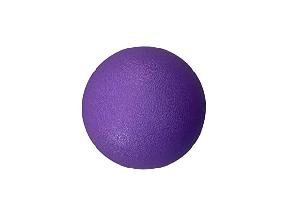 SimpleDog Doggie Dooley Ball Heavy Duty Dog Ball