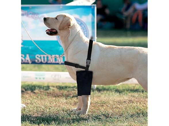 Dog Elbow Protector,Dog Elbow Brace Protecto
