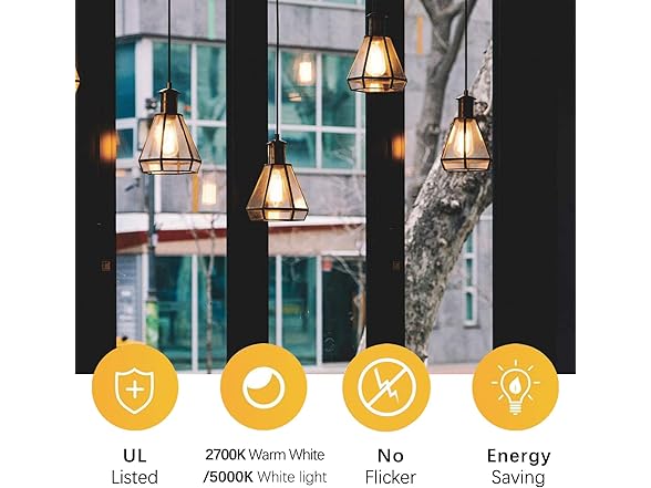 LED Light Bulbs Edison dimmable Bulbs (2700k Warm White, 6-Pack)
