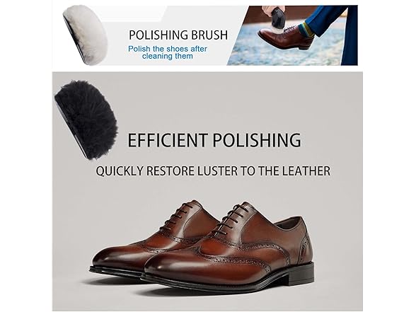 Electric Shoe Shine Kit