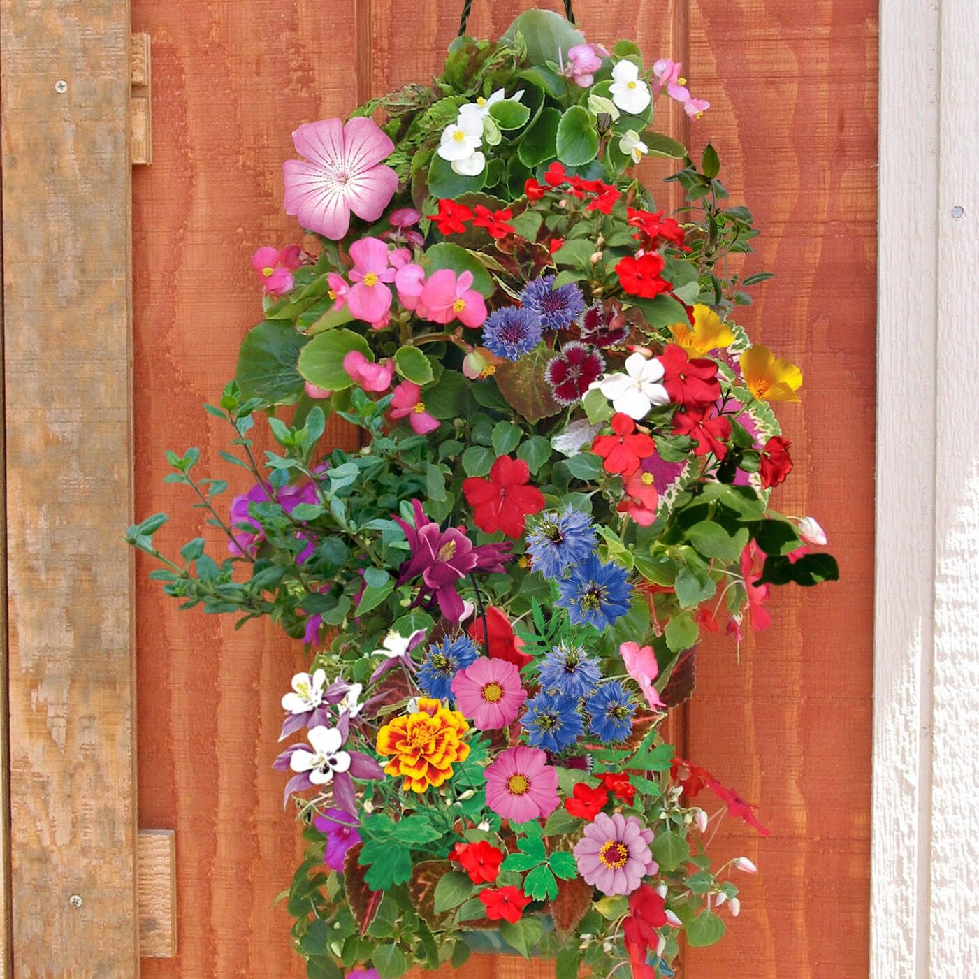 Pocket Hanging Flower Garden Seed Kit - Gallery 13