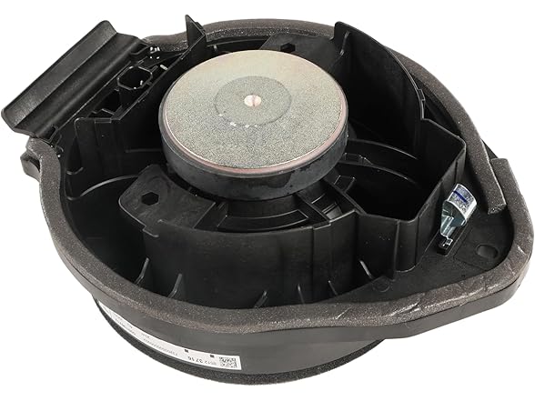 Rear Side Door Speaker