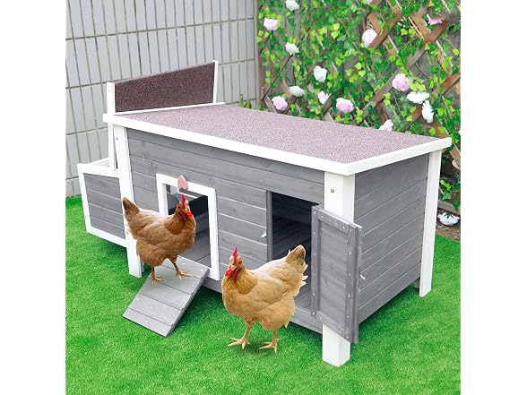 Petsfit Outdoor Chicken Coop with Run for 4-6