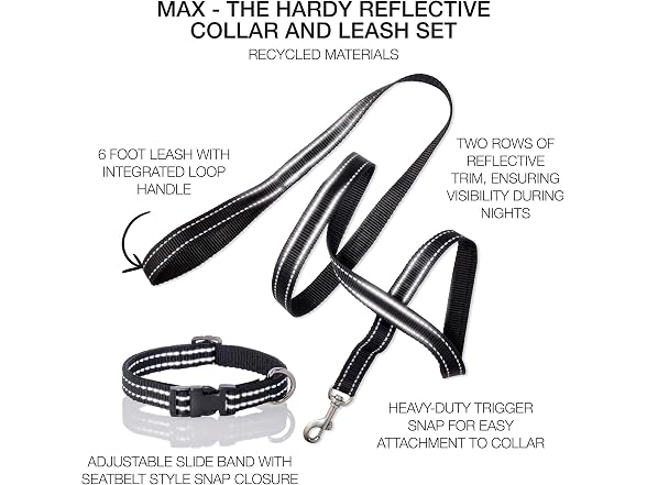Pet Passion 2-Pack MAX - The Hardy Reflective Collar - Gallery 2