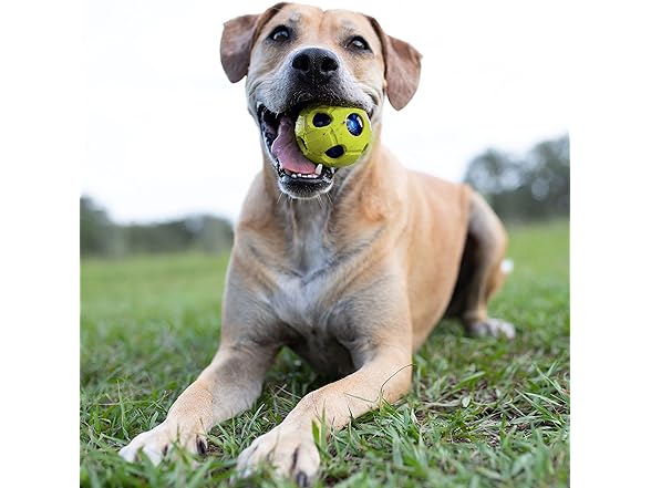 Nerf Dog Bash Ball Dog Toy with Interactive LED