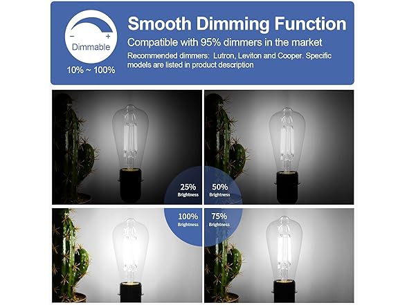 BesLowe 12-Pack ST64 LED Edison Bulbs 5000K