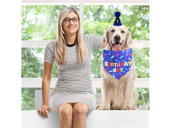 Dog Birthday Bandana Scarf, Boy Dogs Birthda