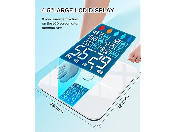 HEYAXA Smart Scale for Body Weight