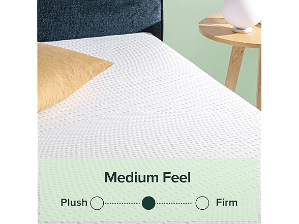 ZINUS 10" Queen Cooling Foam Mattress