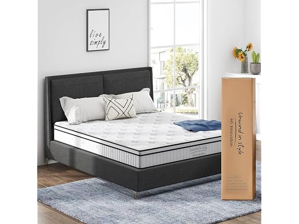 SogesSleep Queen Mattress, 10 Inch