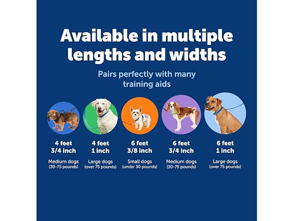 PetSafe Nylon Dog Leash 3/4" x 4', Red