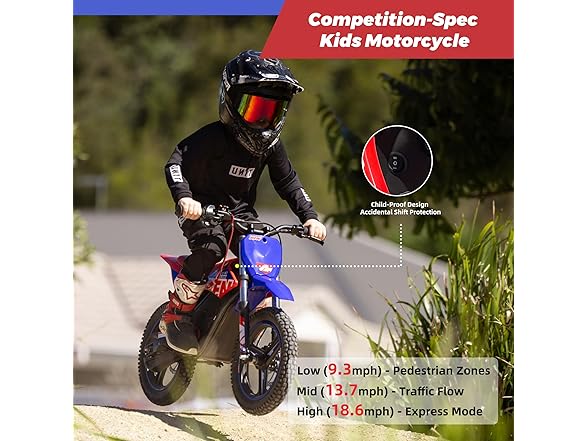 RFN SX-E350 36V Electric-Dirt-Bike