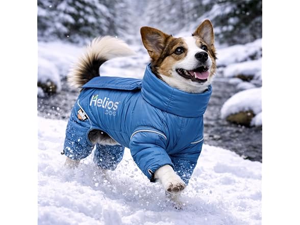 Pet Life ® 'Thunder-Crackle' Dog Coat