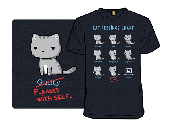 Cat Feelings Chart- Remix