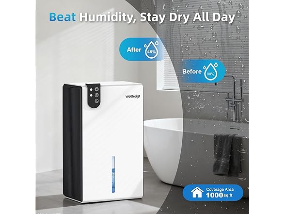 WoEleLigt Dehumidifier for Home