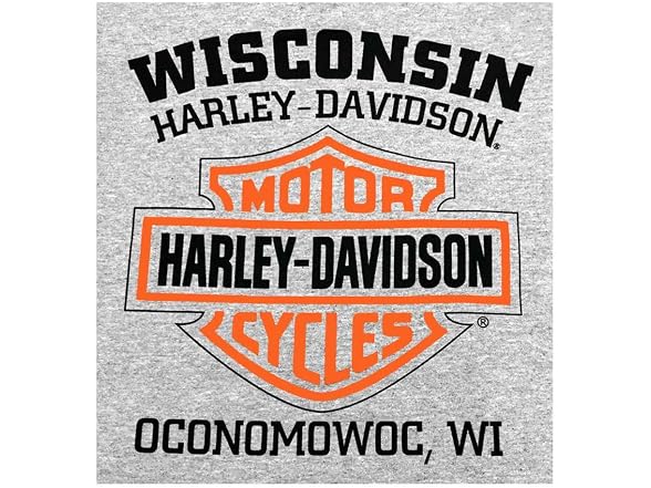 Harley-Davidson Men (L) Sweatshirt Bar Hoodie