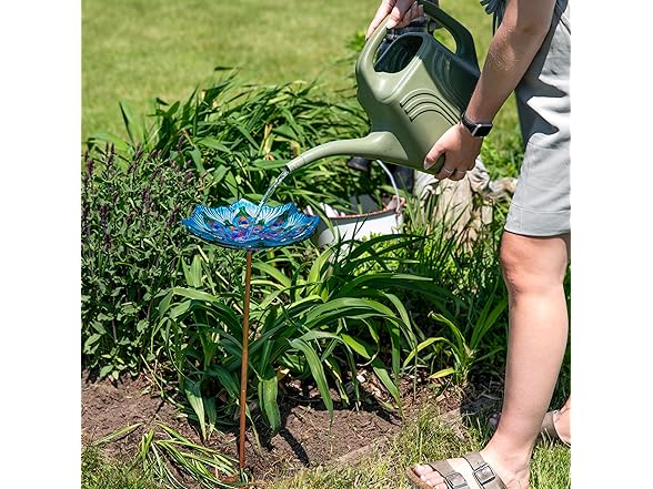 Sunnydaze Glass Bird Bath Bowl - 11"