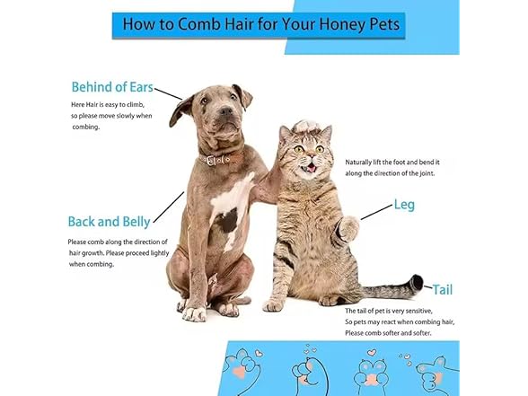 PetFun Self-Cleaning Pet Grooming Brush