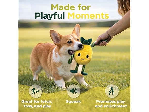 Bow Wow Pet Squeaky Plush Dog Toy with Crinkle, Pineapple