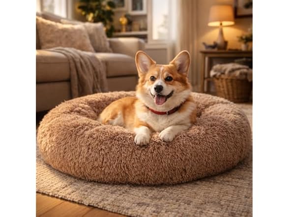 FITION Dog & Cat Bed for Indoor, 24in