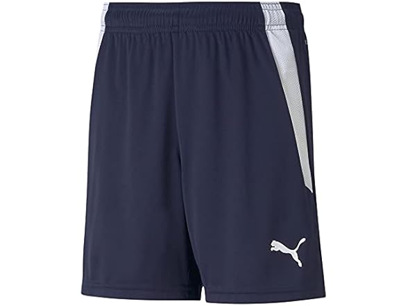 PUMA Teamliga Shorts (S)