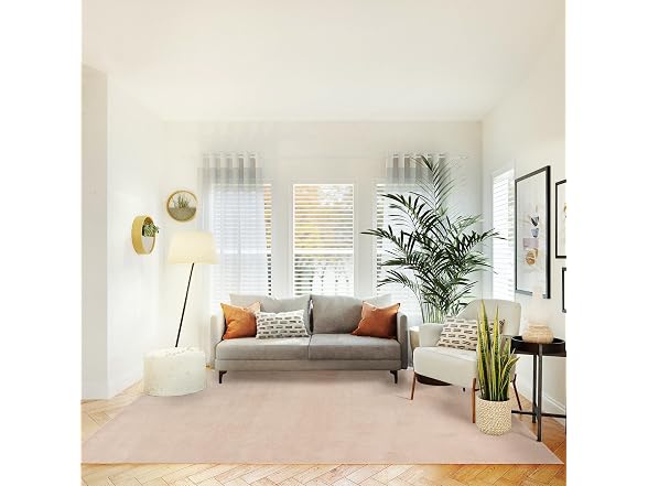 Gertmenian Indoor Shag Rug 6x9 Beige