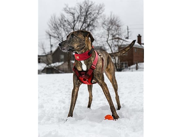 Pet Life ® Anti-Slippage Pet Socks