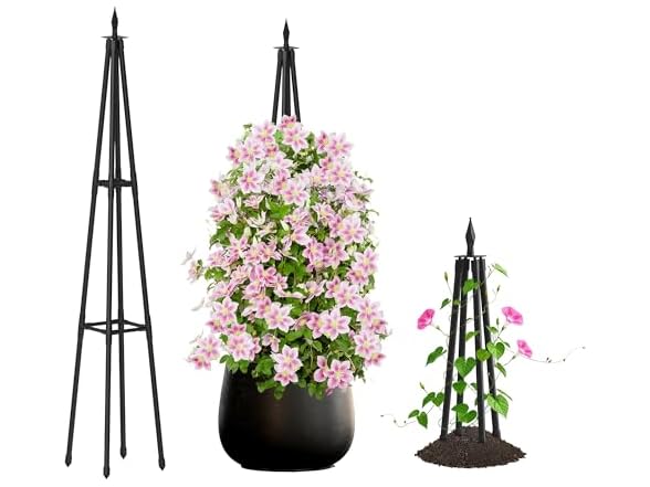 Hsundries 4FT Obelisk Climbing Trellis