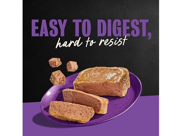 24CT Cesar Classic Loaf in Sauce Adult Wet Dog Food