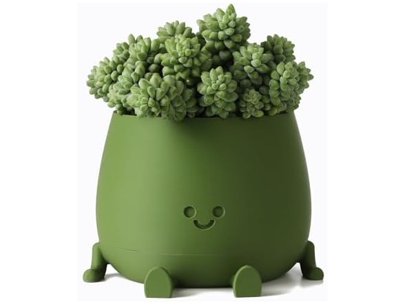 TOPOLA Happy Face Planter
