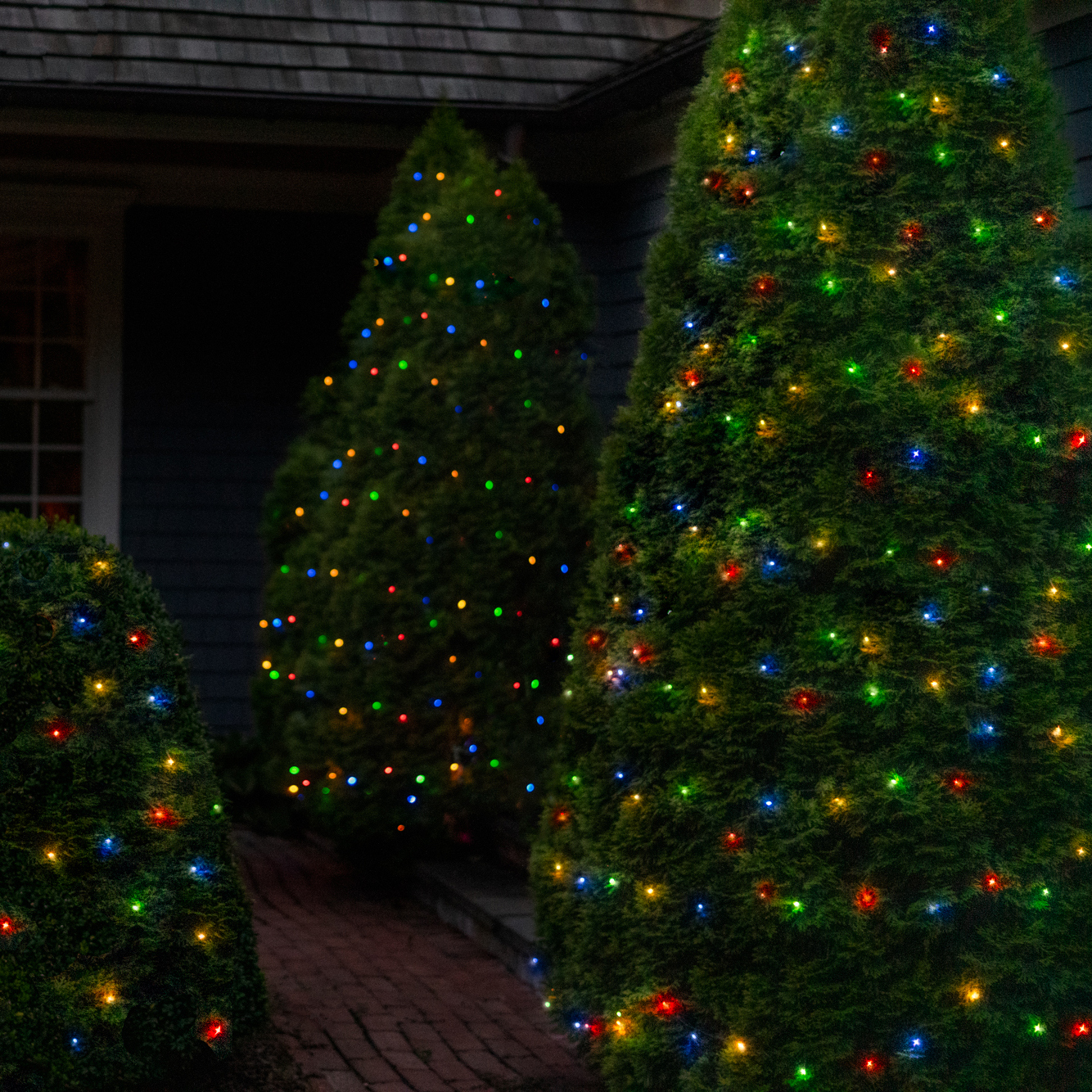 Solar LITEUP125 String Lights Multi Color - Gallery 10
