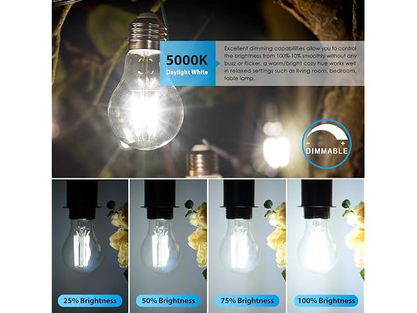 TOBUSA 6 Pack A19 Edison Bulbs 5000K